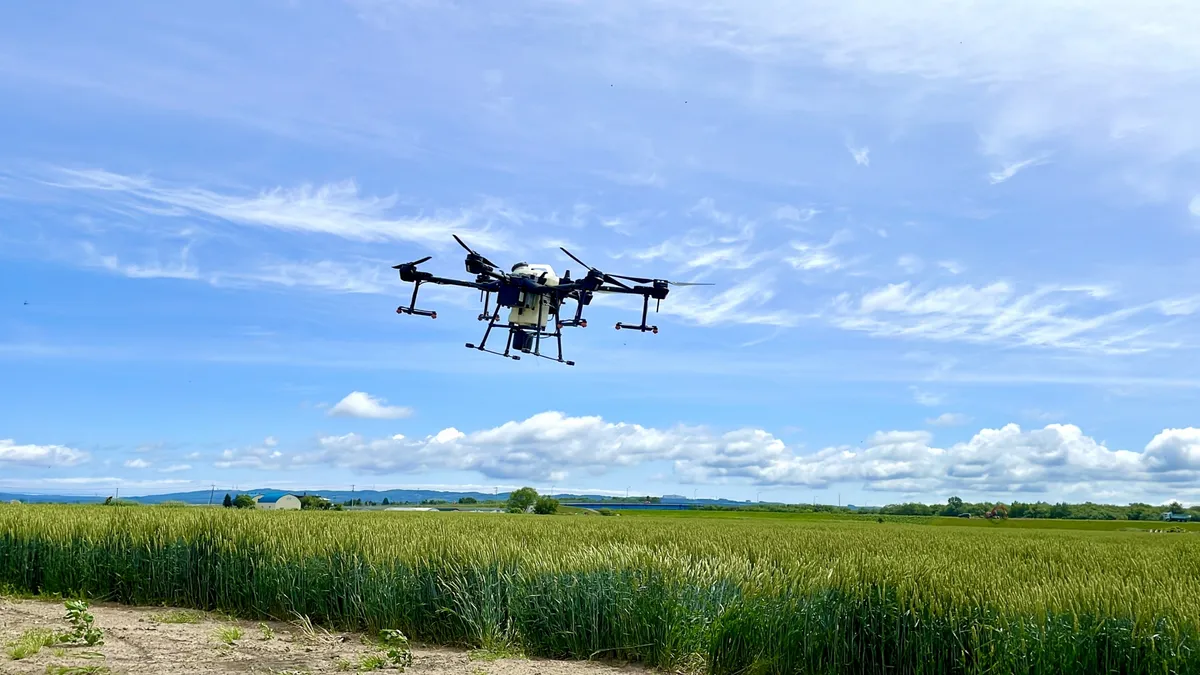青空の下、麦畑の上を飛行する農業用散布ドローン